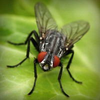 /album/northchopera/photolia-a01-jpg/