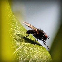 /album/northchopera/photolia-a04-jpg/