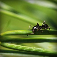 /album/northchopera/photolia-a05-jpg/