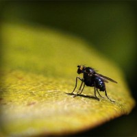 /album/northchopera/photolia-a07-jpg/