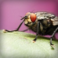 /album/northchopera/photolia-a08-jpg/